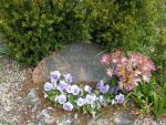 Freddy Rasmussen.JPG